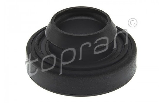 Seal Ring, cylinder head cover bolt