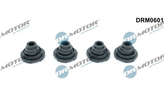 Sealing ring, spark plug shaft