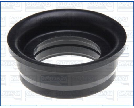 Sealing ring, spark plug shaft
