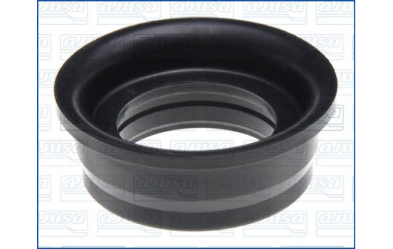 Sealing ring, spark plug shaft