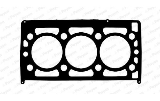 Gasket, cylinder head AA5920 Payen