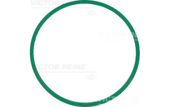 Gasket, intake manifold 40-77586-00 Viktor Reinz