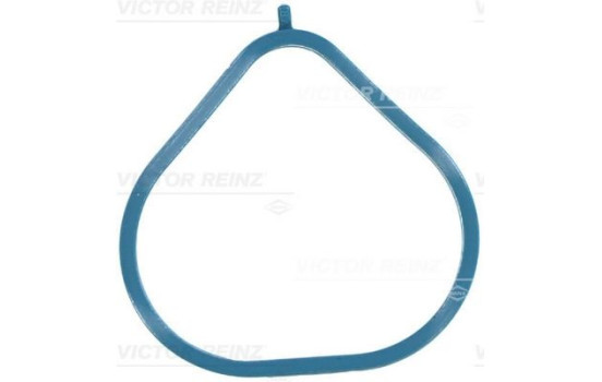 Gasket, intake manifold 71-10209-00 Viktor Reinz