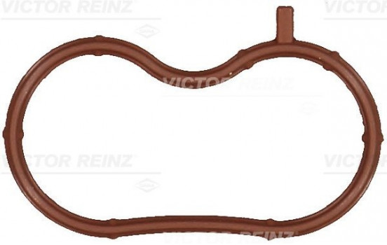 Gasket, intake manifold 71-17674-00 Viktor Reinz