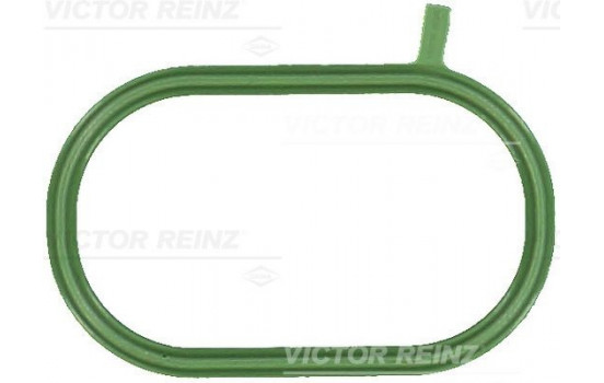 Gasket, intake manifold 71-17696-00 Viktor Reinz