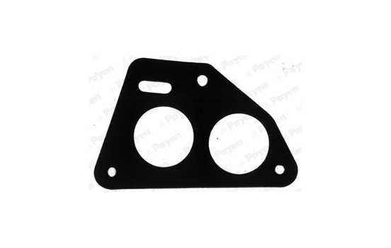 Gasket, intake manifold JD551 Payen