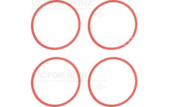 Gasket Set, intake manifold 11-35246-01 Viktor Reinz