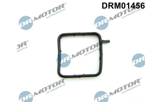 Gasket, coolant tube