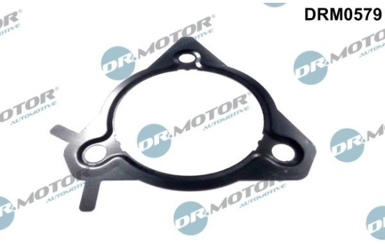 Gasket, injection pump