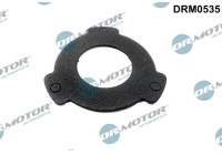 Gasket, injection pump