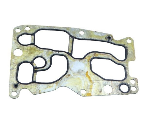 Gasket, oil cooler