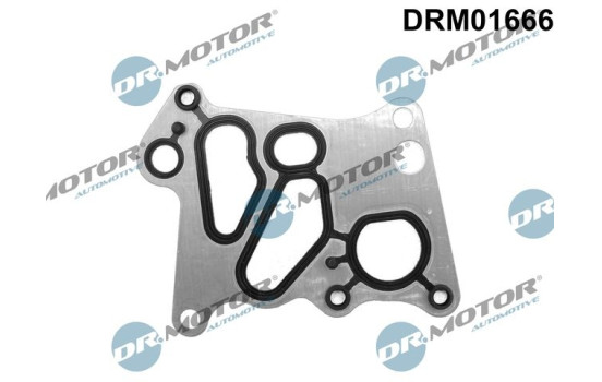 Gasket, oil cooler