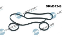 Gasket, oil cooler