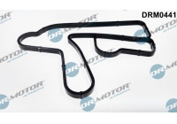 Gasket, oil cooler