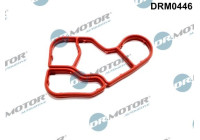 Gasket, oil cooler