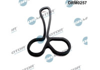 Gasket, oil cooler