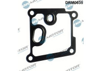 Gasket, oil cooler