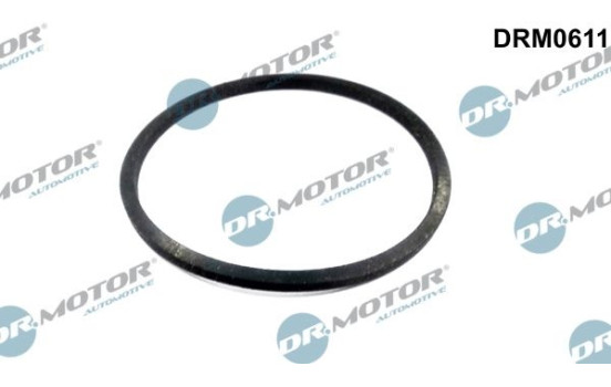 Gasket, oil cooler