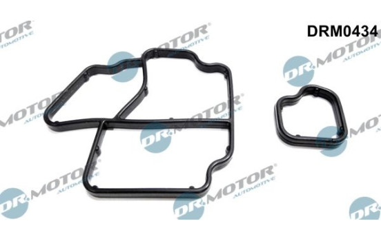 Gasket, oil cooler