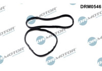 Gasket, oil cooler