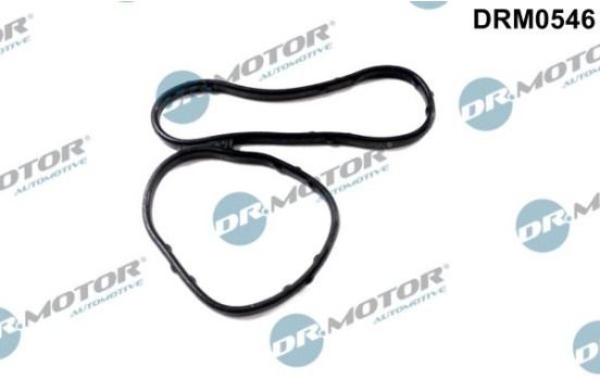 Gasket, oil cooler