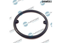 Gasket, oil cooler