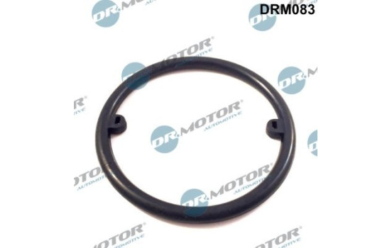 Gasket, oil cooler