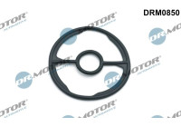 Gasket, oil cooler