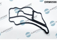 Gasket, oil cooler