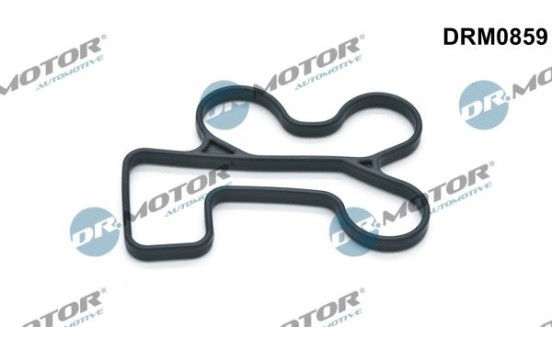 Gasket, oil cooler