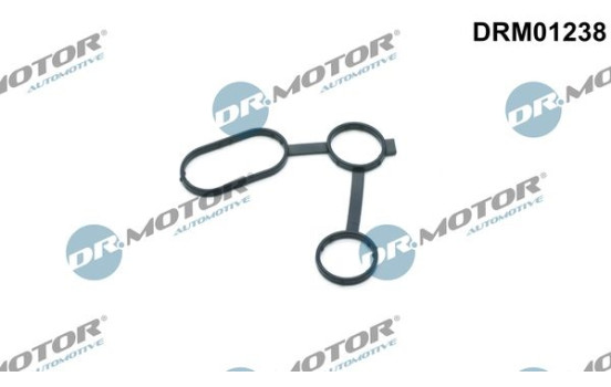 Gasket, oil cooler