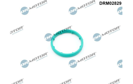 Gasket, oil cooler