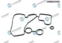 Gasket, oil cooler