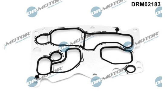 Gasket, oil cooler