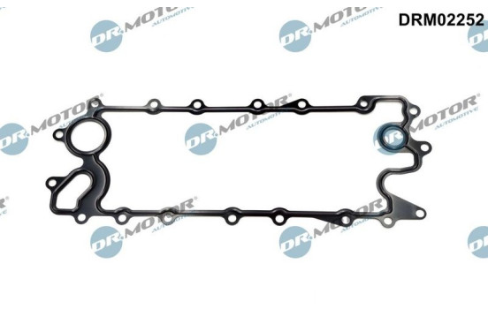 Gasket, oil cooler