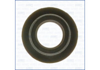 Gasket/ Seal