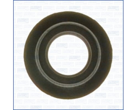 Gasket/ Seal