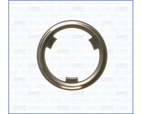 Gasket/ Seal