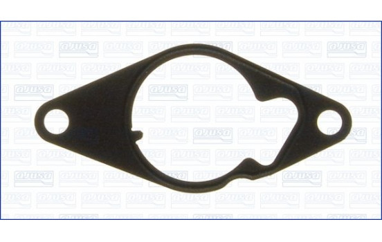 Gasket/ Seal