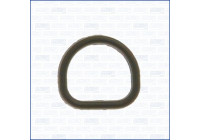 Gasket/ Seal