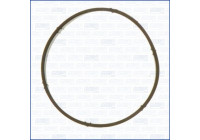 Gasket/ Seal