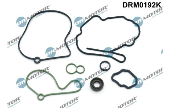 Gasket set, vacuum pump