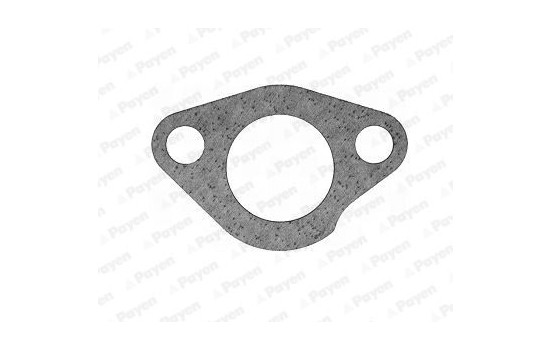 Gasket, thermostat KS617 Payen