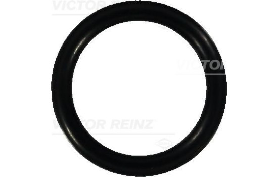 Sealing ring 40-76059-00 Viktor Reinz