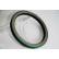 Sealing ring