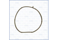 Gasket/ Seal