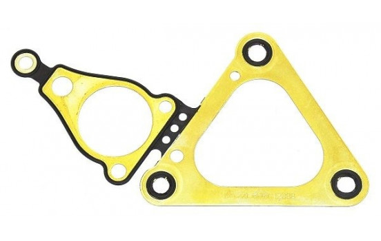 Gasket, timing case 365.221 Elring