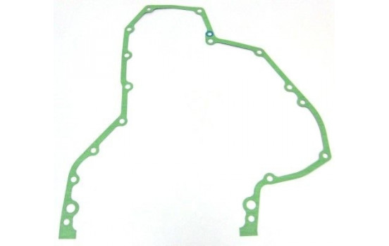 Gasket, timing case 829.595 Elring