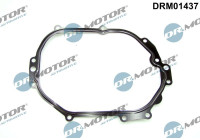 Gasket, timing case cover