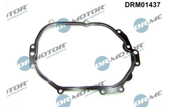 Gasket, timing case cover